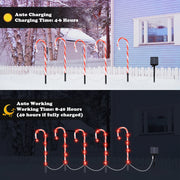 Set of 10 Solar Powered Christmas Candy Cane LED Pathway Lights with Remote Control